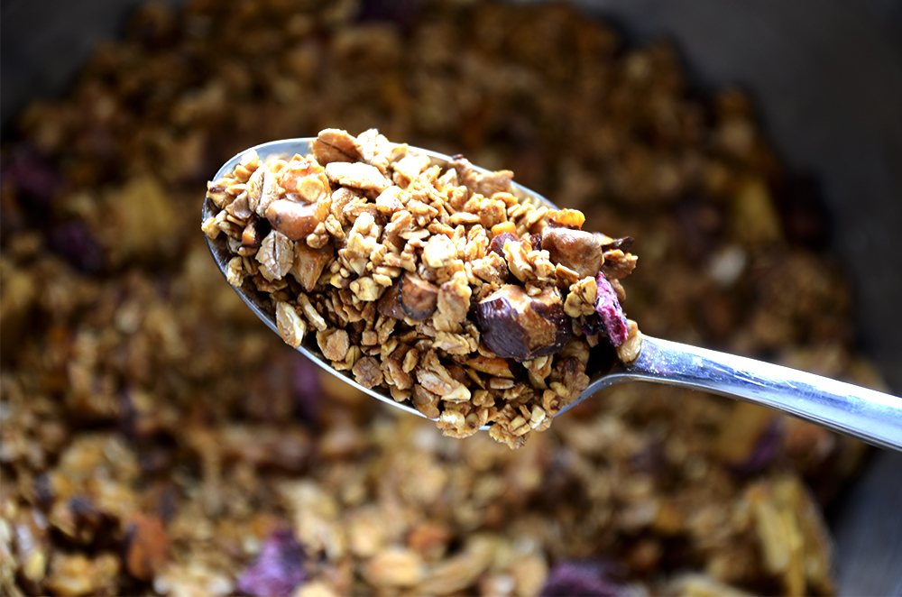 granola2